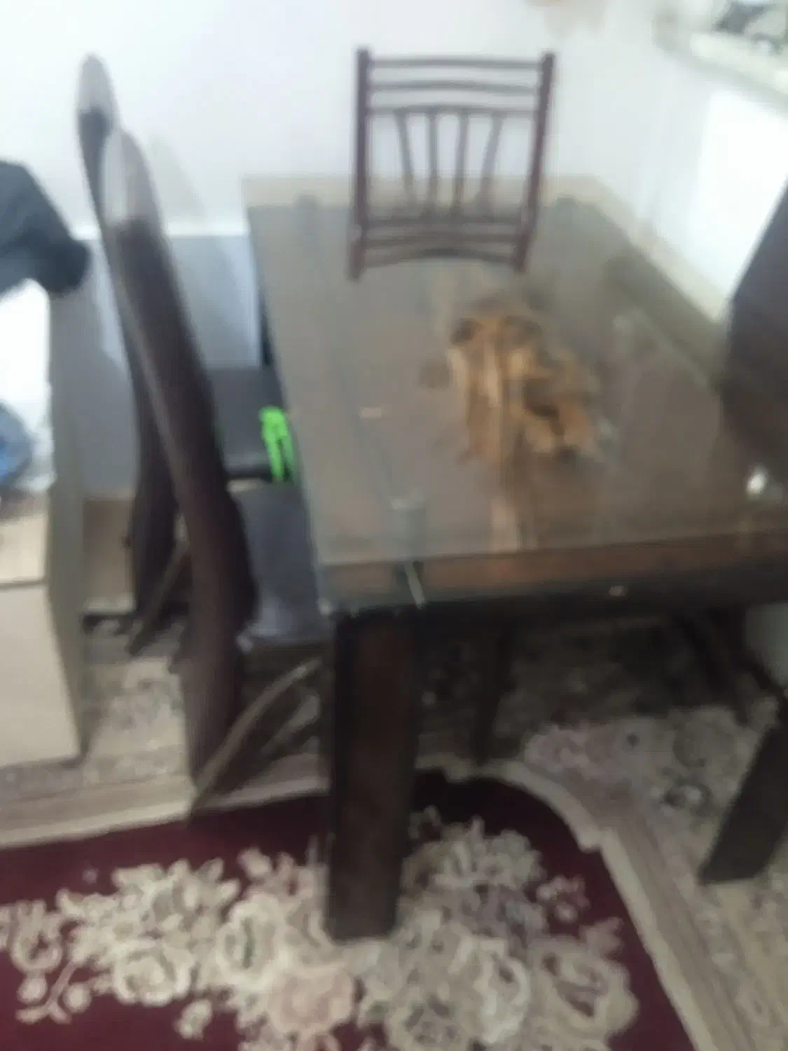 میزنهارخوری|میز و صندلی غذاخوری|چناران, |دیوار