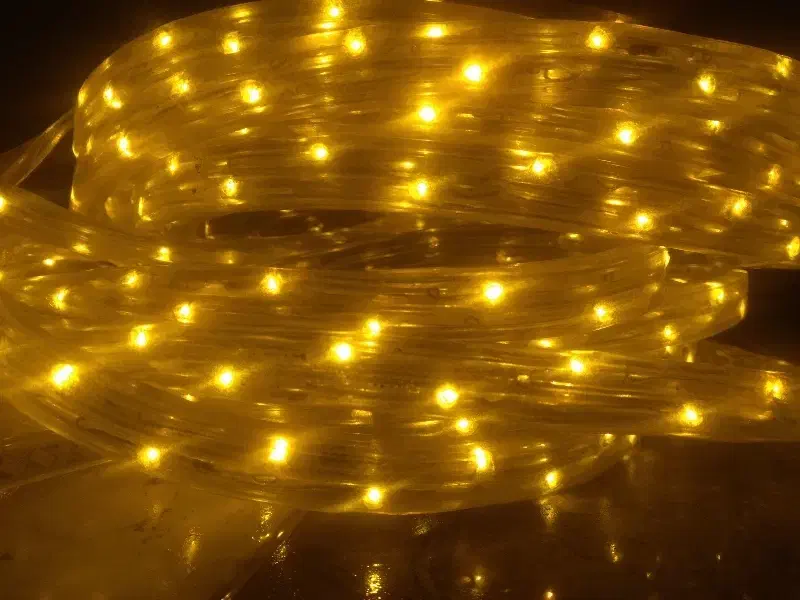 ریسه شیلنگی|ریسه و چراغ تزئینی|داراب, |دیوار