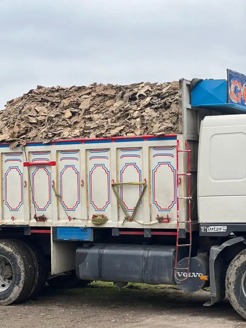 کود مرغ|خدمات باغبانی و درختکاری|یزد, |دیوار