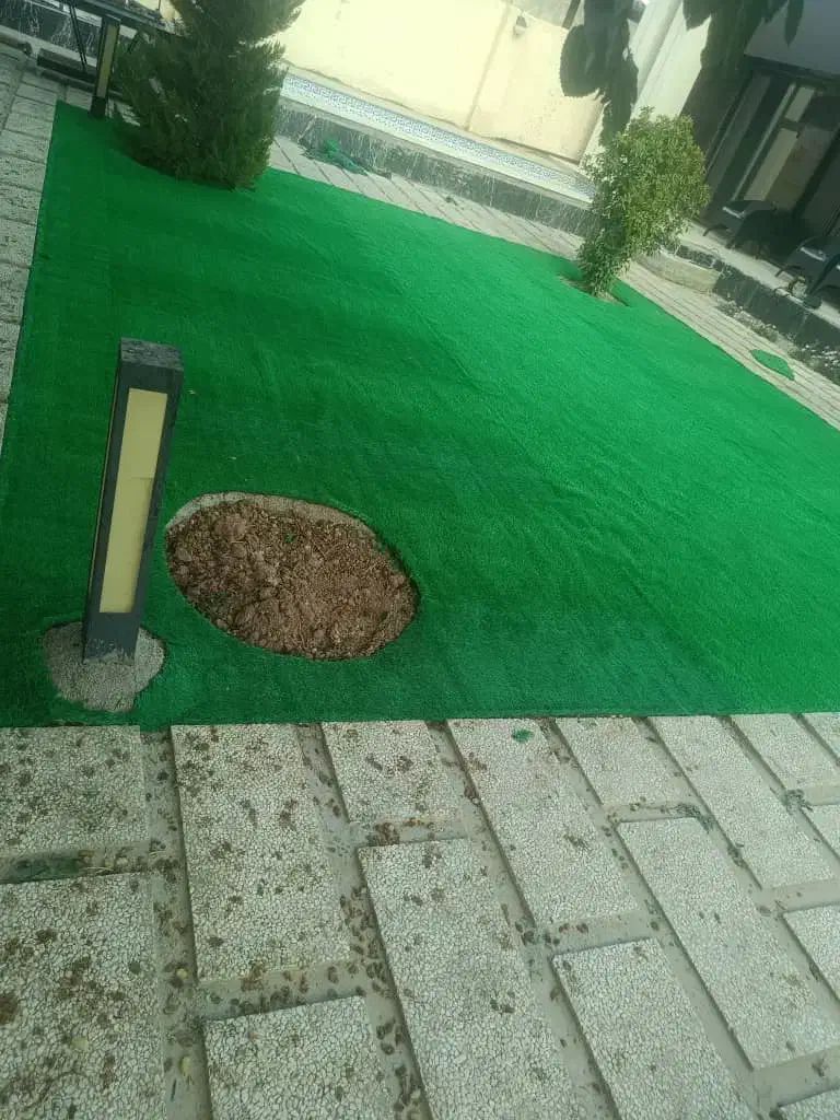 نصاب چمن مصنوعی 25میل|گل مصنوعی|چهارباغ, |دیوار