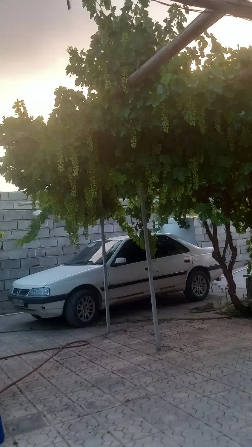 خونه باغ جوپار عباس آباد بعد از کارخانه روغن نباتی|فروش خانه و ویلا|ماهان, |دیوار