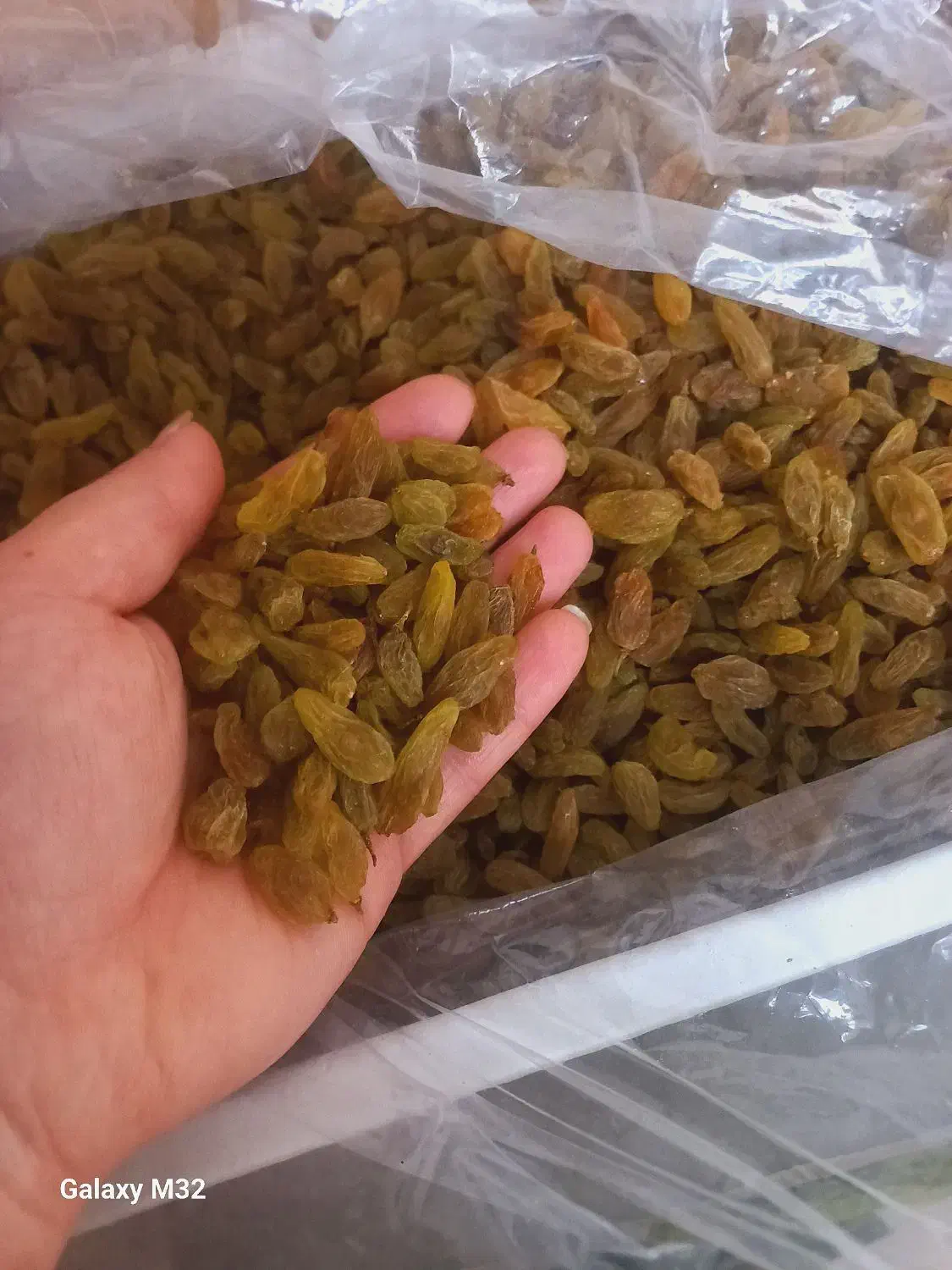 کشمش پلویی ۲۵۰ وخشکبار سبزوار|خوردنی و آشامیدنی|گرگان, |دیوار