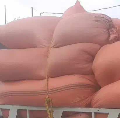 کاه گندم.جو|لوازم جانبی حیوانات|شیروان (خراسان), |دیوار