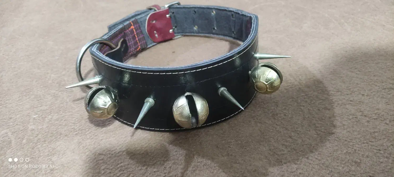 قلاده سگ|لوازم جانبی حیوانات|مشهد, باغون آباد|دیوار