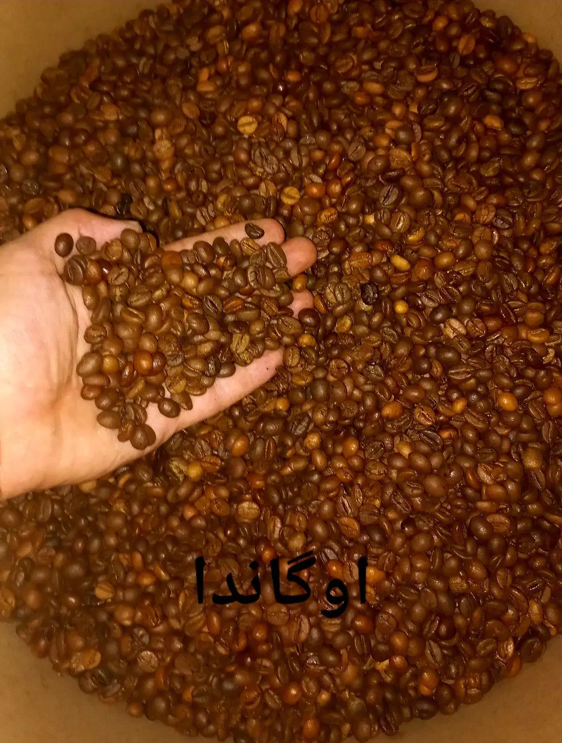 کارگاه رست و پخش قهوه دیزباد|کافیشاپ و رستوران|ملکآباد, |دیوار