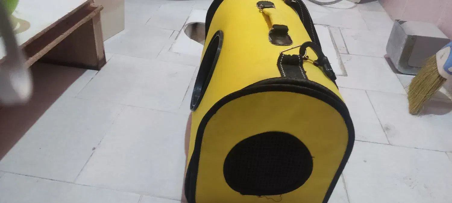 لونه گربه|لوازم جانبی حیوانات|شیراز, امام حسین|دیوار