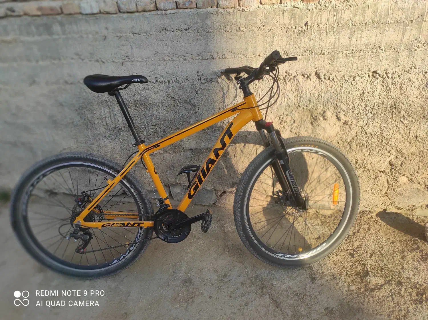 دوچرخه|دوچرخه، اسکیت، اسکوتر|بکتاش, |دیوار