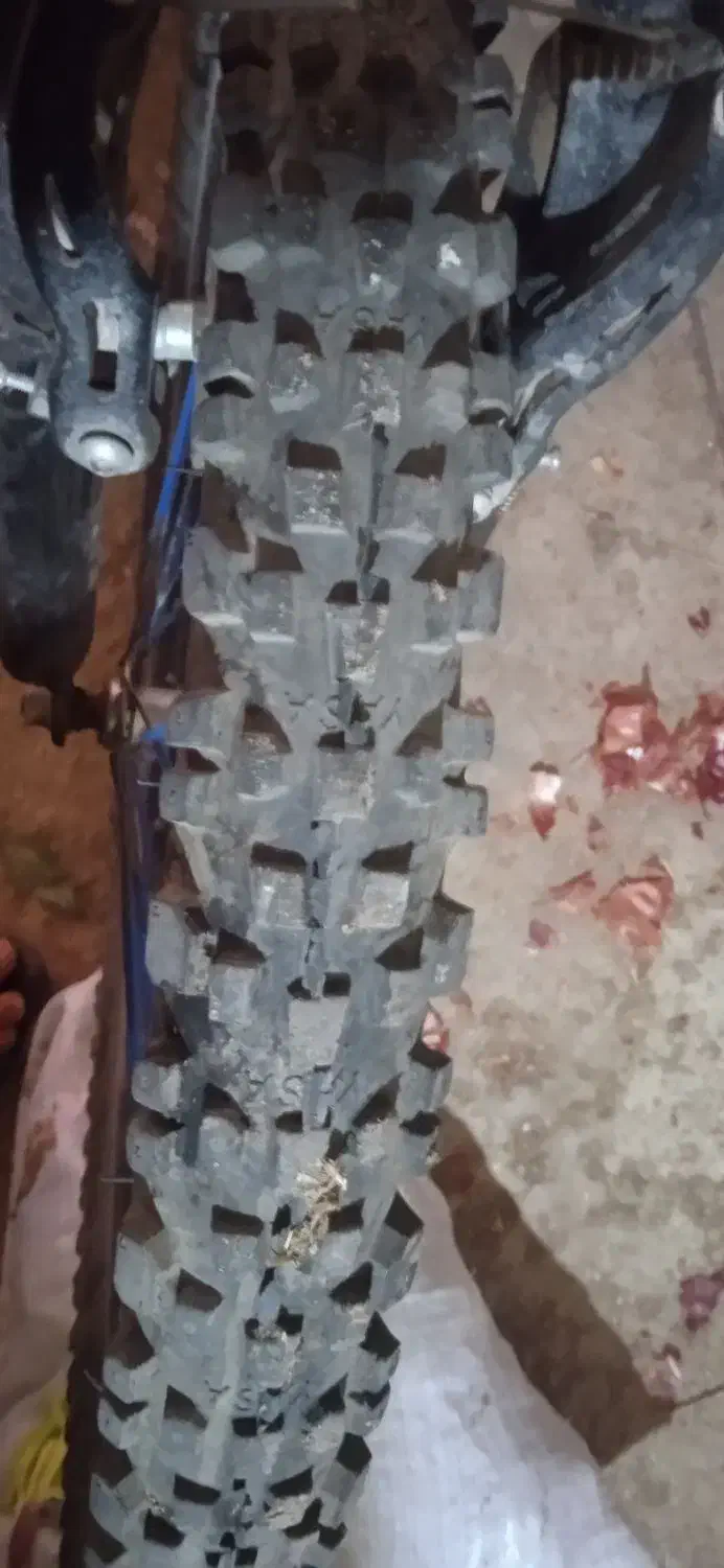 80000ریال|دوچرخه، اسکیت، اسکوتر|فیروزآباد (لرستان), |دیوار