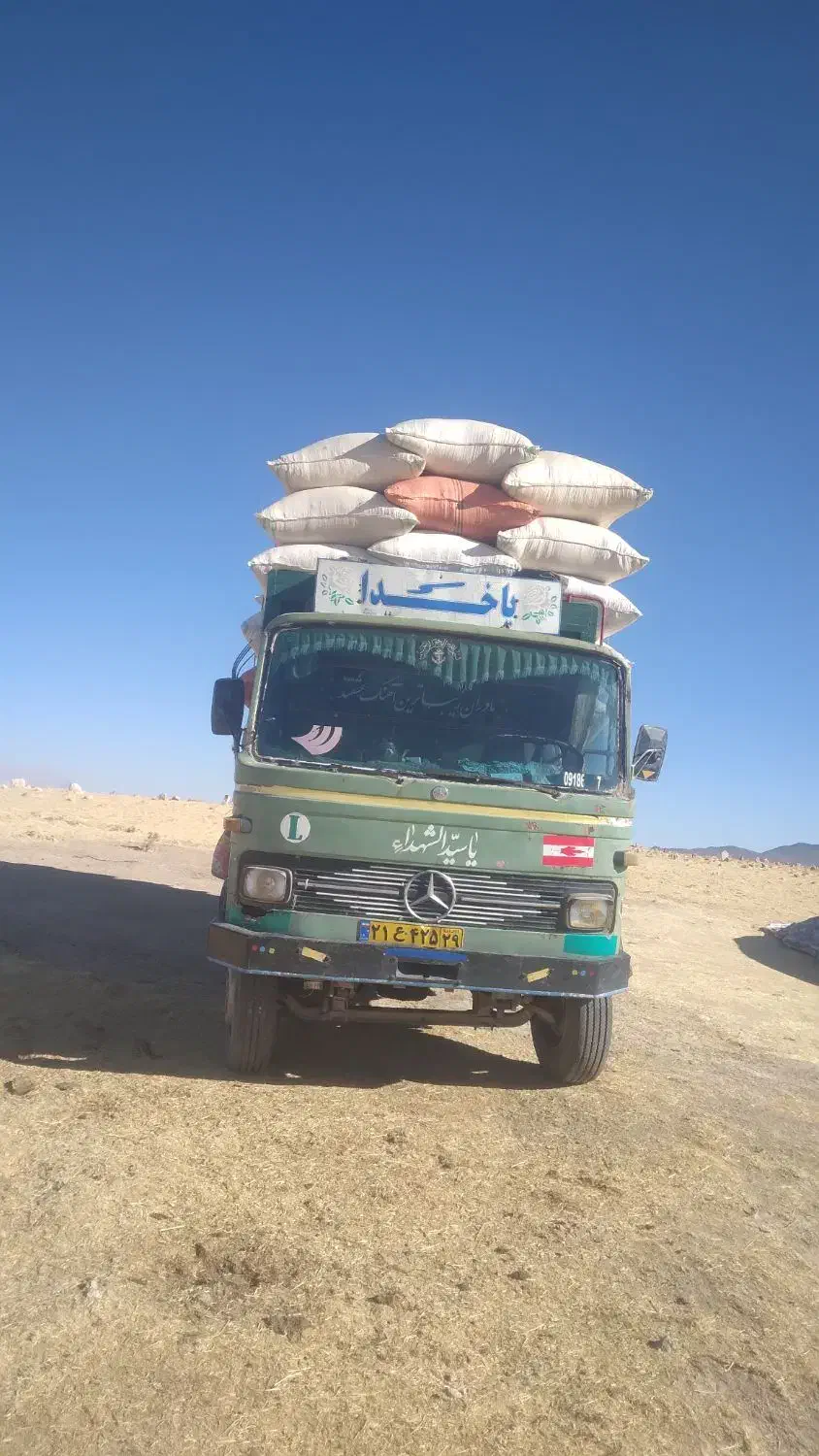 کاه دیم ریز کرمانشاه دور میدان نگین|حیوانات مزرعه|دهلران, |دیوار