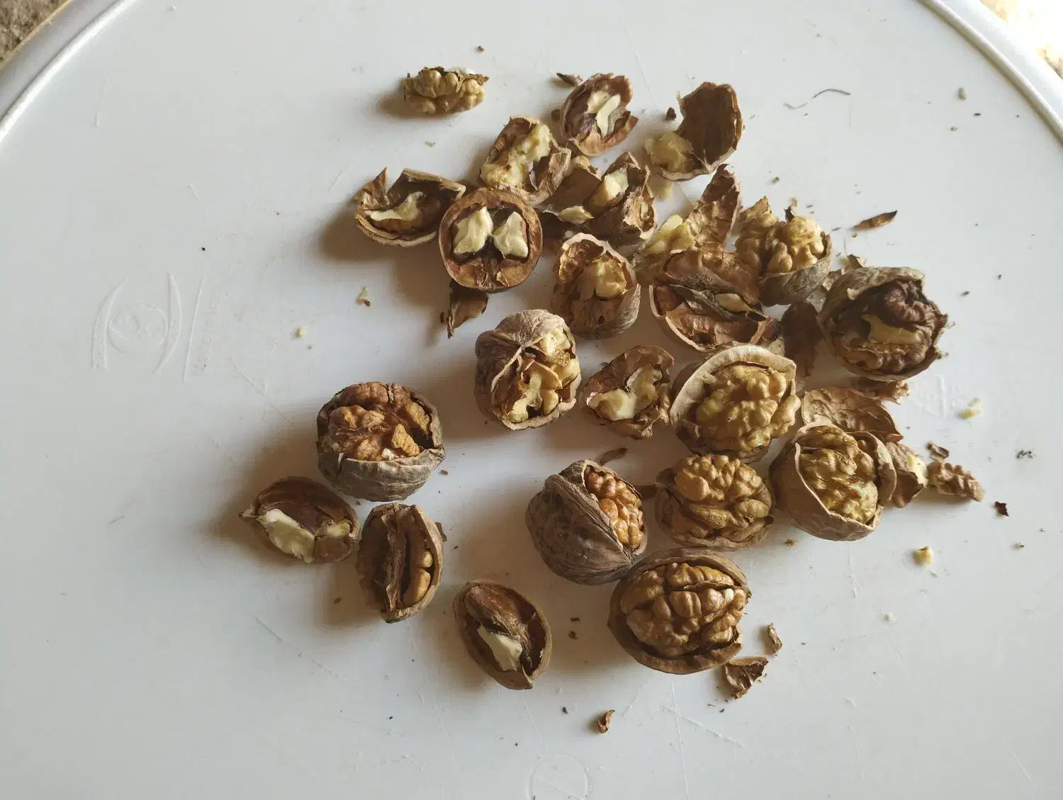 گردو|خوردنی و آشامیدنی|گرمخان, |دیوار