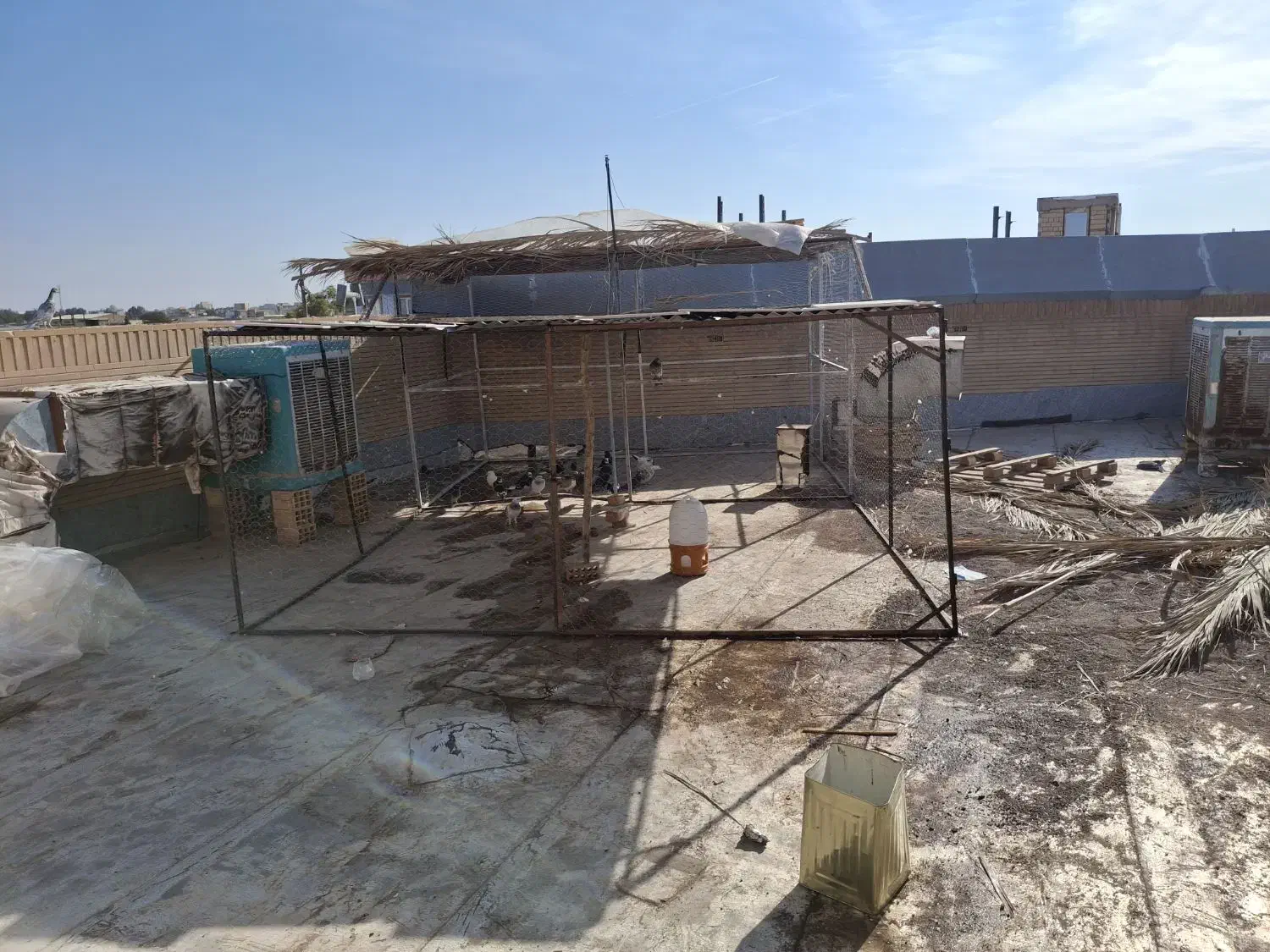 با سلام تور دام وقفس پرنده پنج در شش  بزرگ|لوازم جانبی حیوانات|رفسنجان, |دیوار