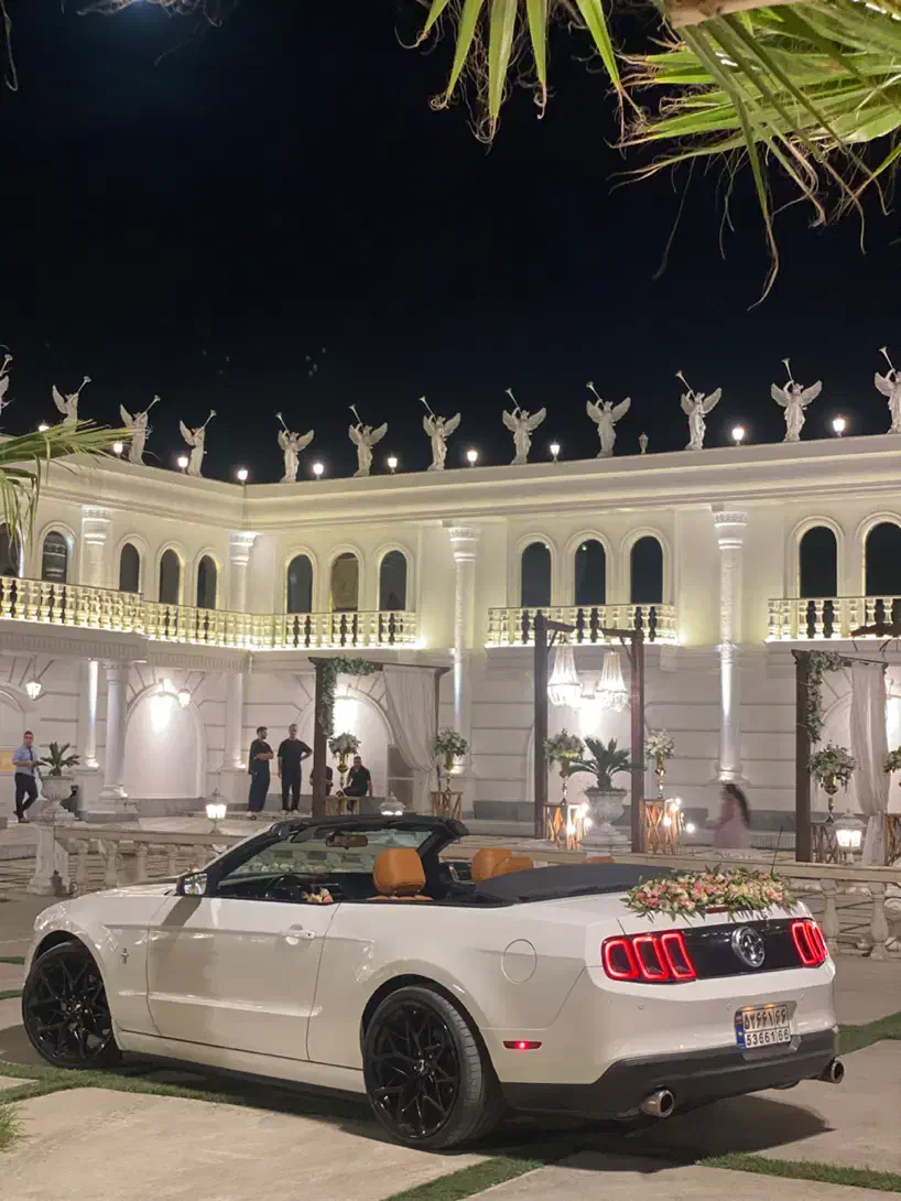 اجاره فورد موستانگ کروک|خدمات پذیرایی، مراسم|رشت, استقامت ۱|دیوار