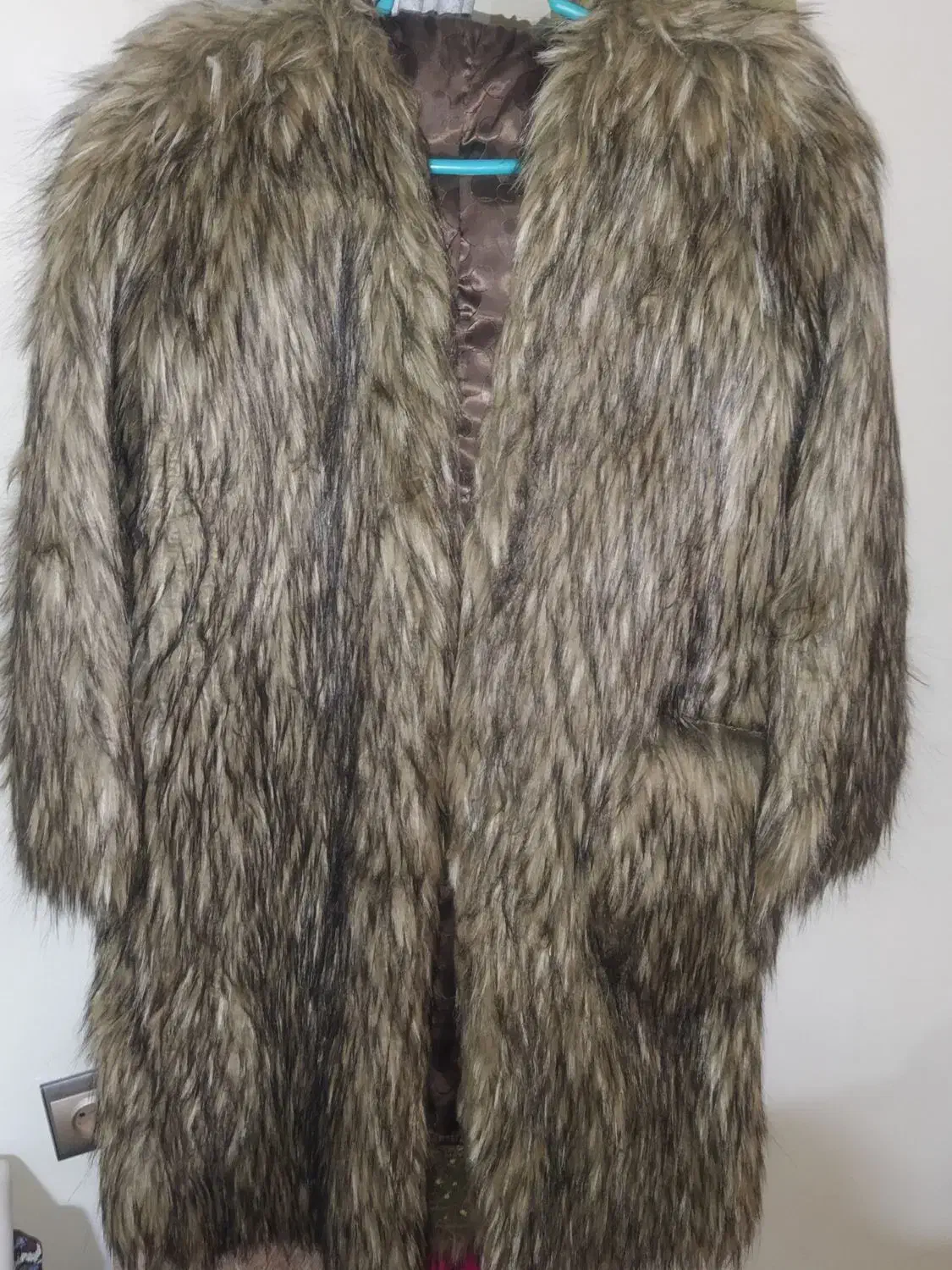 پالتو|لباس|اصفهان, باغ دریاچه|دیوار