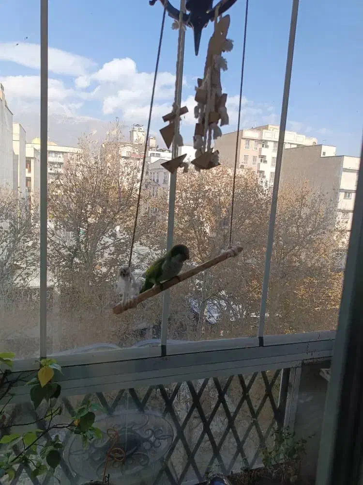 ۲۰۰ متر / ۳خواب / دروس / تراس کاربردی|فروش آپارتمان|تهران, دروس|دیوار