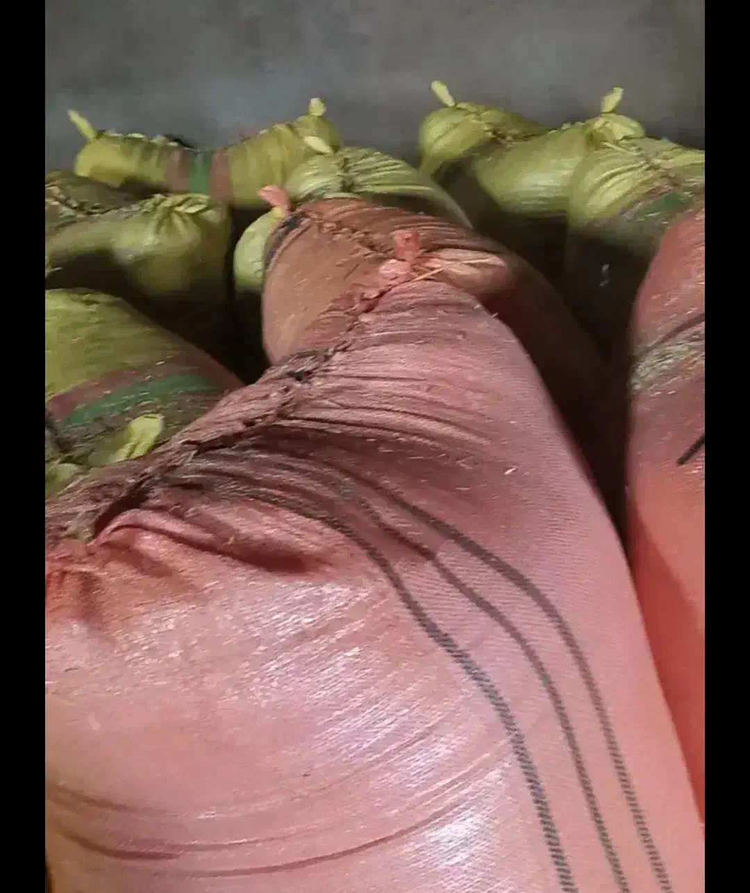 فروش کاه|لوازم جانبی حیوانات|خواجه, |دیوار