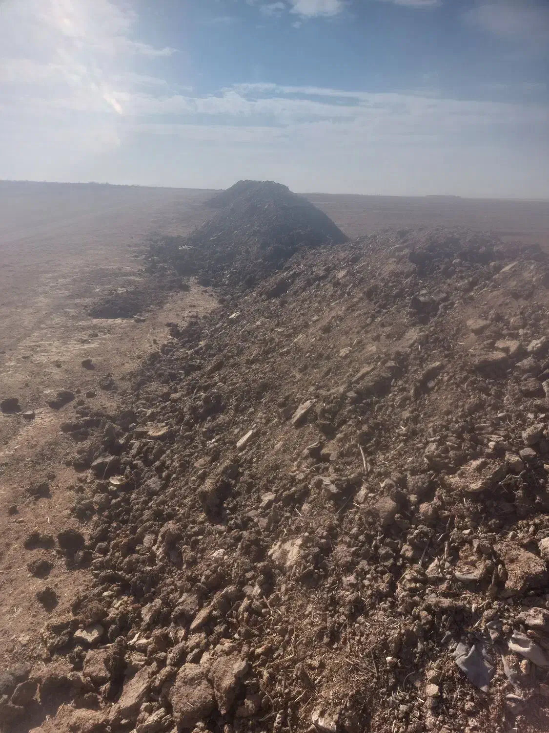 کود دامی خشک|گل و گیاه طبیعی|سردرود, |دیوار