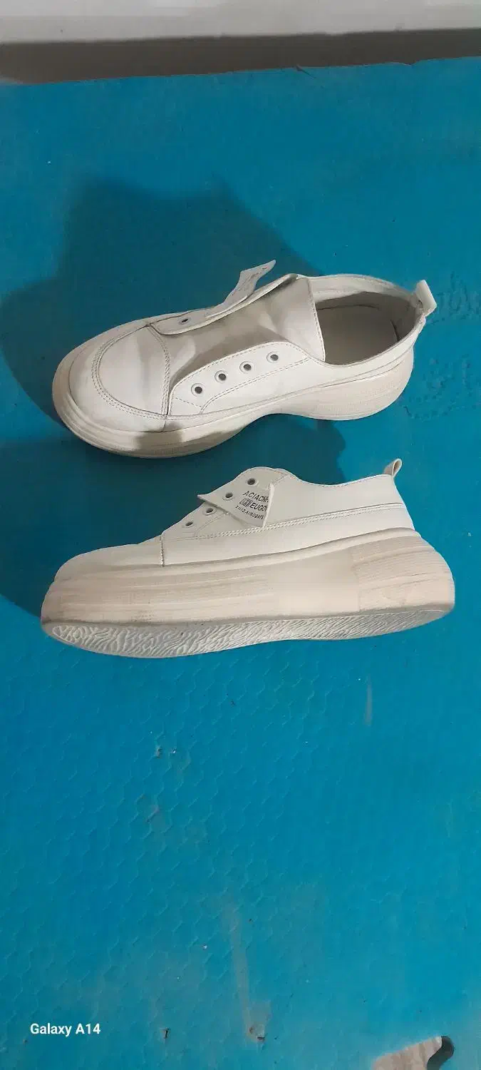 کفش|کیف، کفش، کمربند|مشهد, خرمشهر|دیوار