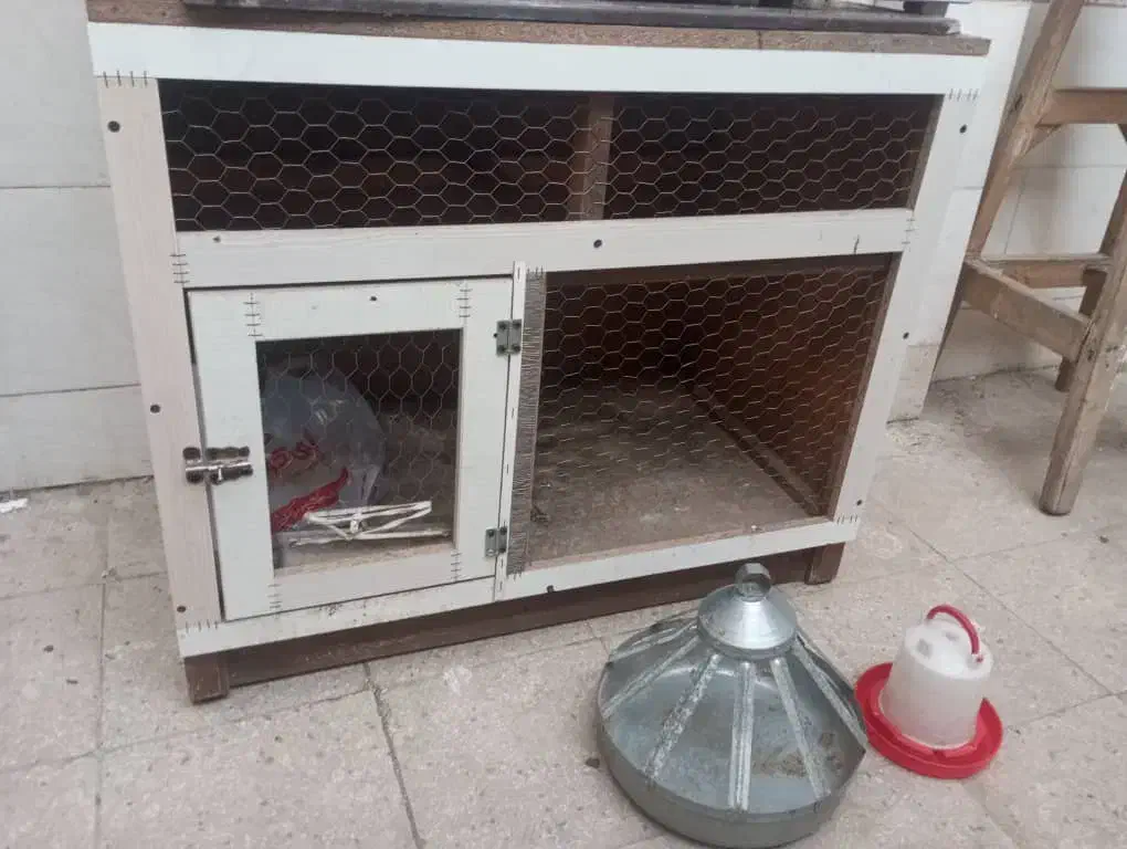 قفس پرنده و مرغ|لوازم جانبی حیوانات|مشکیندشت, |دیوار