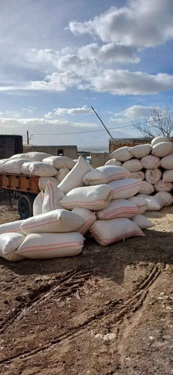 کاه خرمن کوب|لوازم جانبی حیوانات|دورود, |دیوار