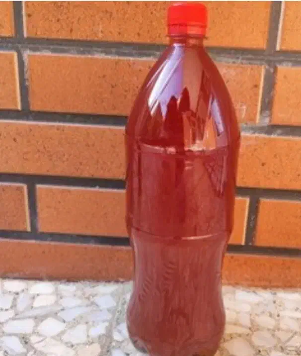 ابغوره درجه یک نیشابور|خوردنی و آشامیدنی|مشهد, آزادشهر|دیوار