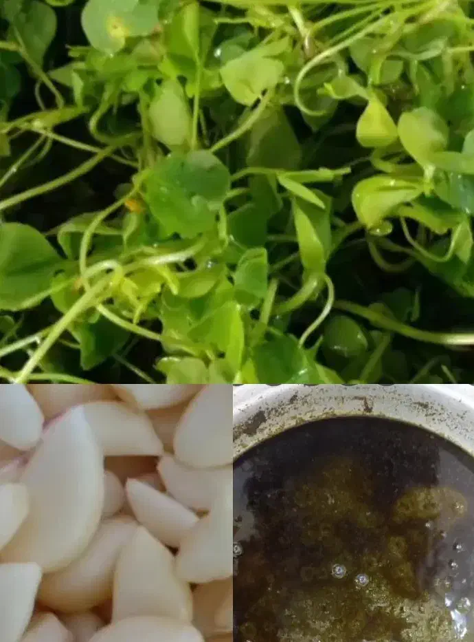 سبزی قرمه و ترش واش،پیاز سرخ کرده،دلار|خوردنی و آشامیدنی|لاهیجان, لاشیدان|دیوار