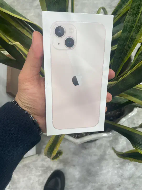 آیفون ۱۳ نرمال ۱۲۸ گیگ اکتیو پلم بدون ریجستر|موبایل|شیراز, قالیشویی|دیوار