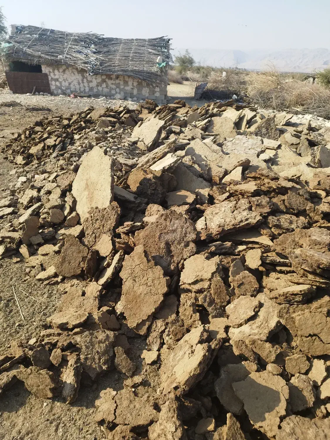 کود تخته کود حیوانی|خدمات باغبانی و درختکاری|افزر, |دیوار