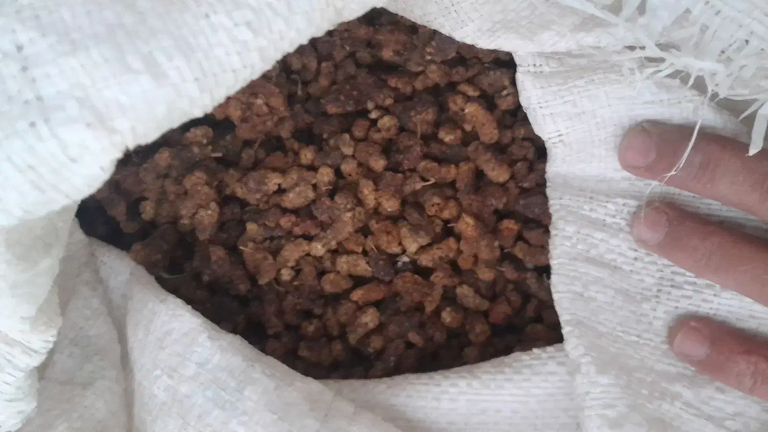 توت توت|خوردنی و آشامیدنی|مشگین شهر, |دیوار