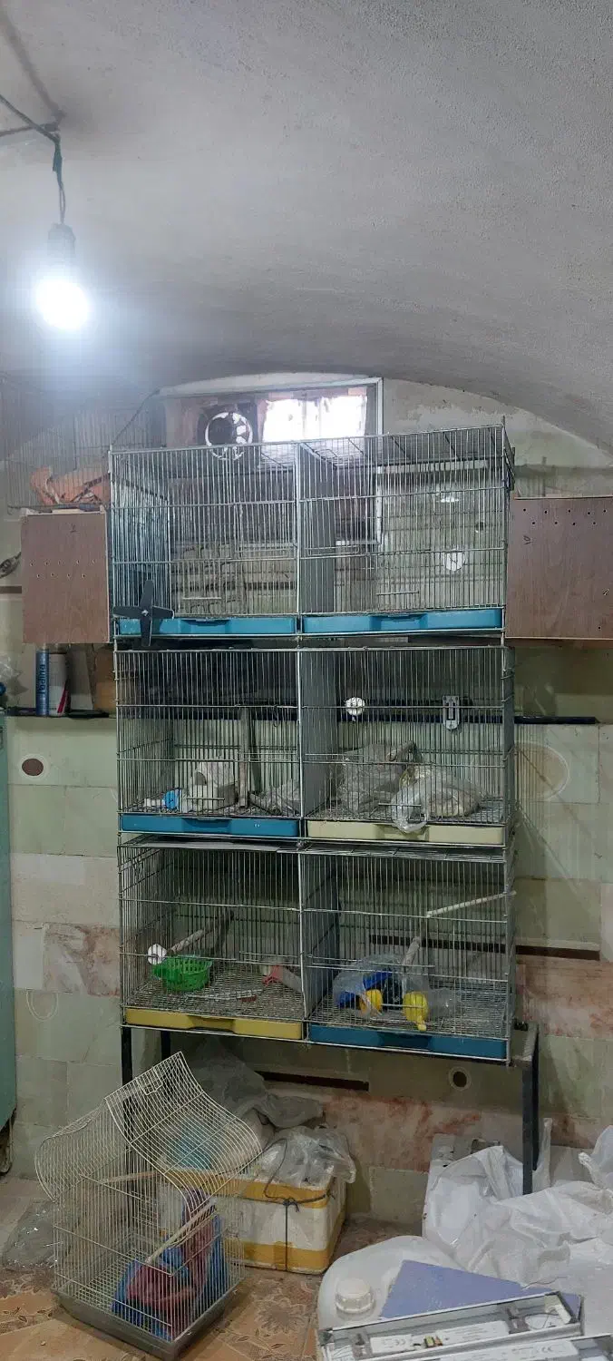 قفس 6خان|لوازم جانبی حیوانات|یزد, |دیوار