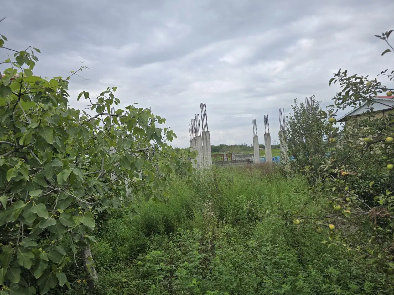 فروش نیمه ساز ۳۸۶ متری شهری|فروش زمین و ملک کلنگی|رضوانشهر, |دیوار