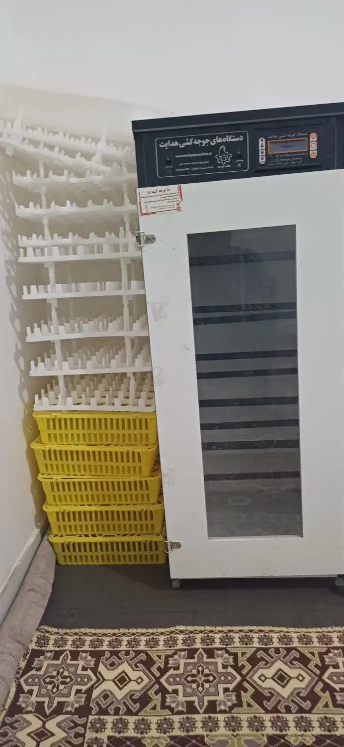 دستگاه جوجه کشی|لوازم جانبی حیوانات|تربت جام, میان جام|دیوار