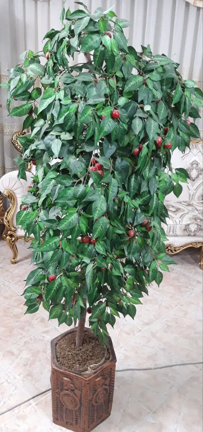 ۲عدرخت گل مصنوعی|گل مصنوعی|کاشان, مصلی|دیوار