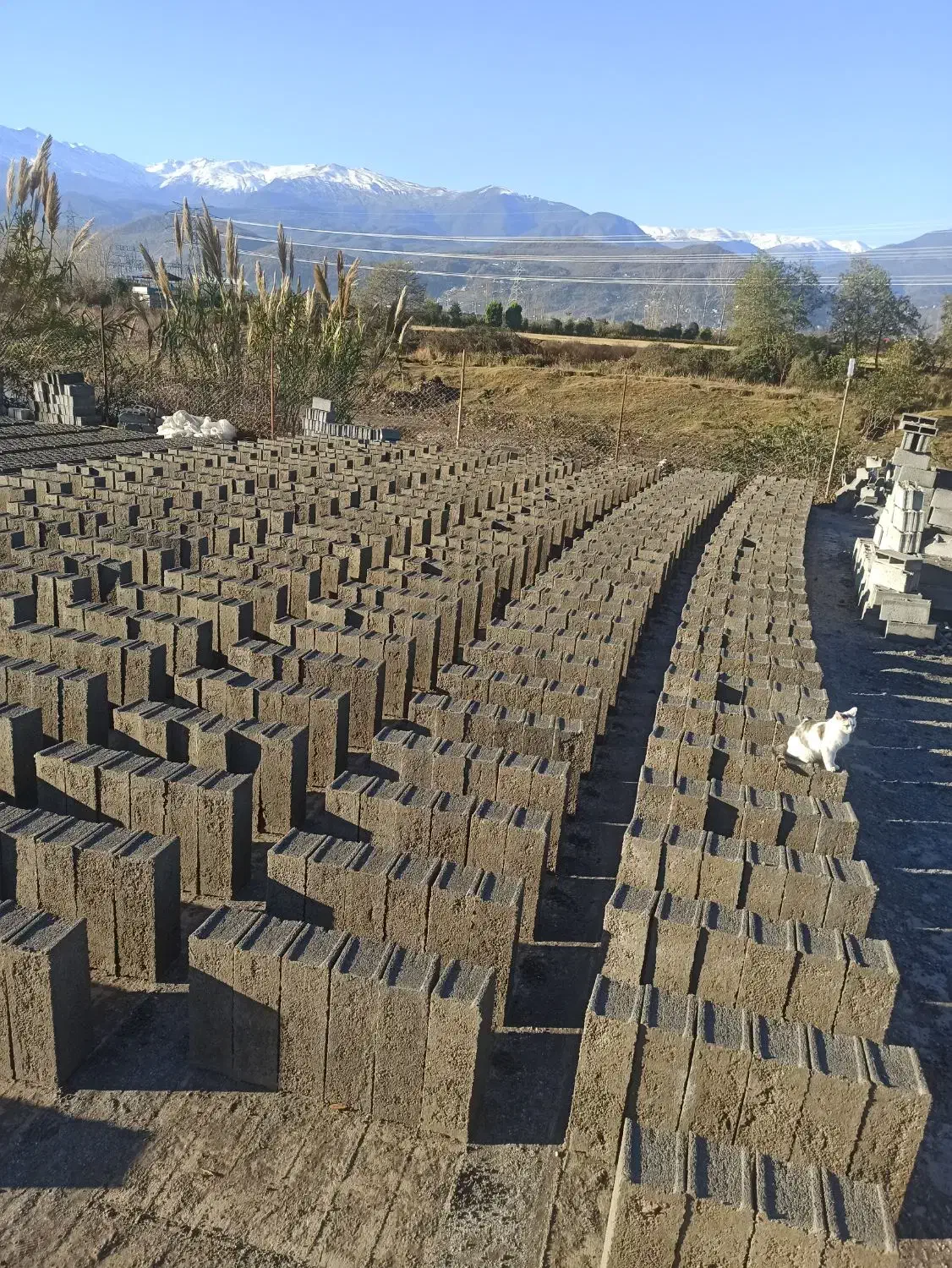 انواع بلوک شنی پوکه شن ماسه سیمان خاک نخاله تحویل|مصالح و تجهیزات ساختمان|رامسر, |دیوار