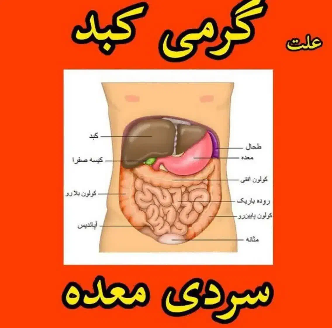 برطرف کردن مشکلات مزاجی|فعالیت داوطلبانه|آباده, |دیوار