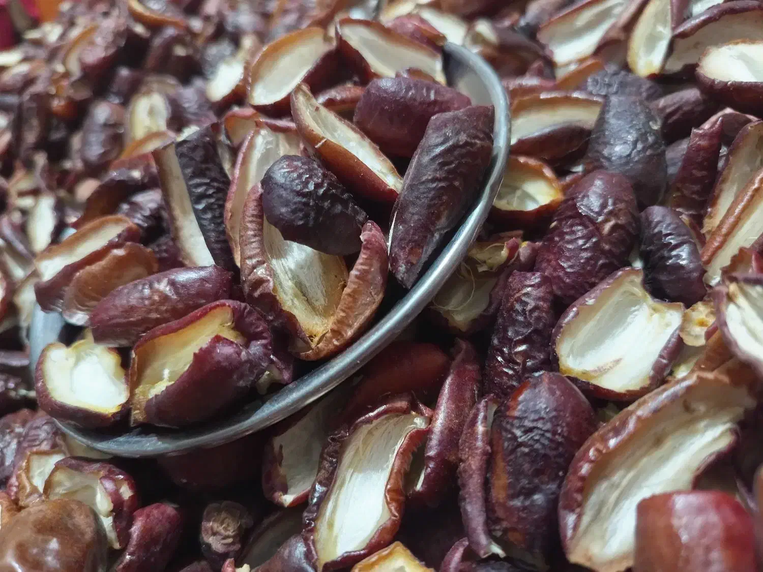 کپک ،هارک ، جاهین|خوردنی و آشامیدنی|سراوان, |دیوار