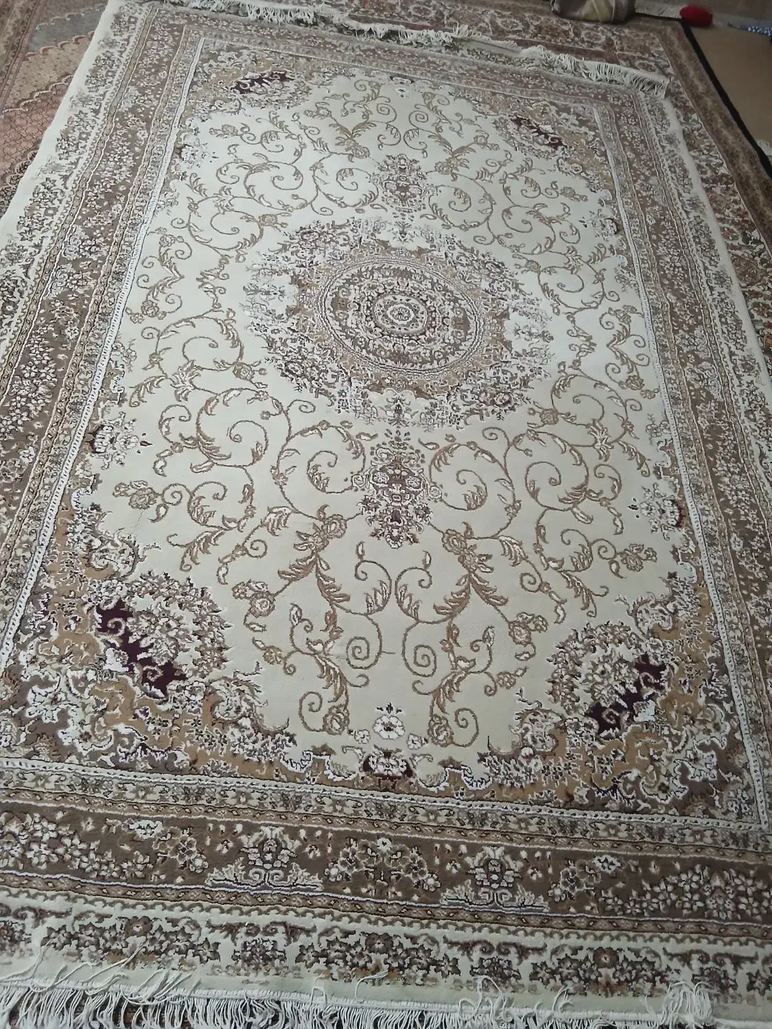 فرش ۶متری|فرش|قم, علی آباد سعدگان|دیوار