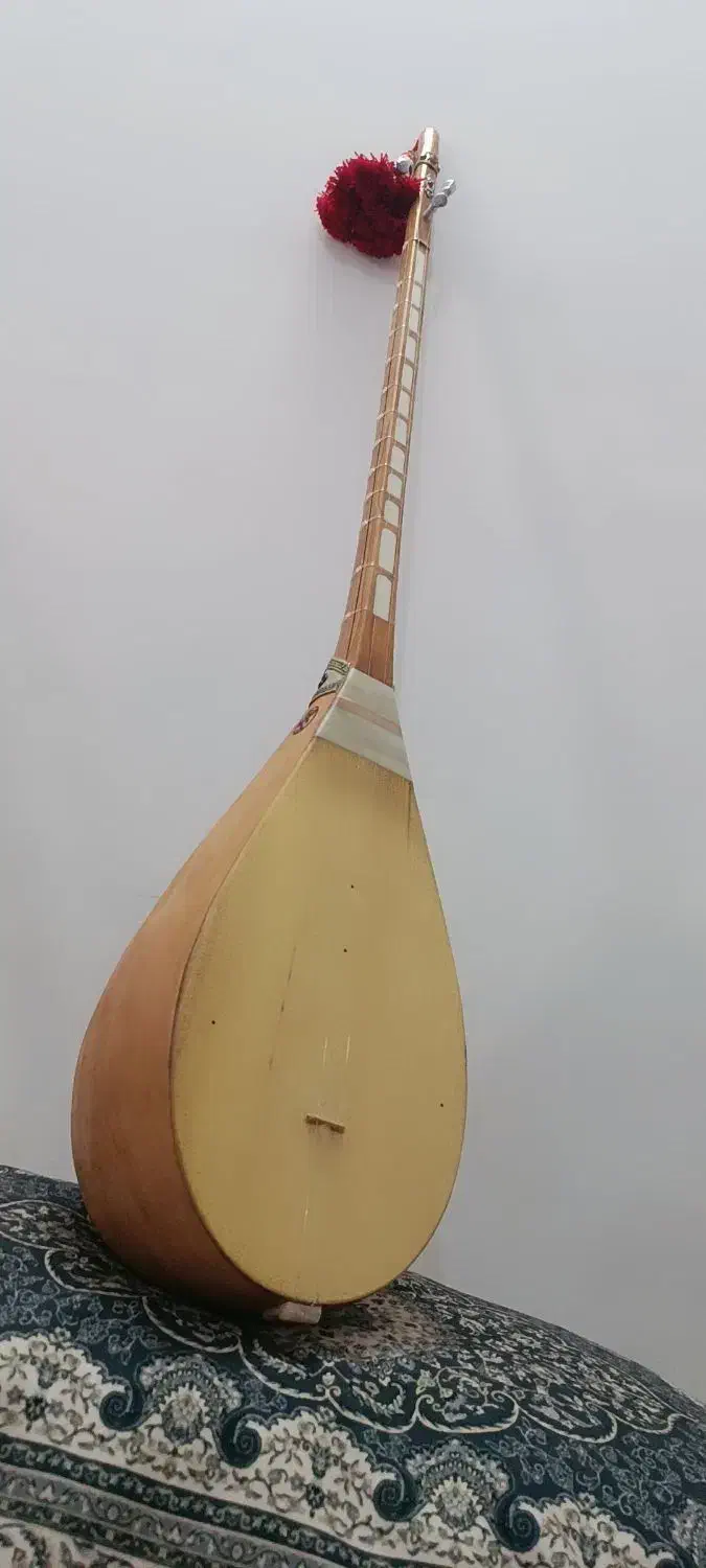 دوتار کاسه بزرگ|سازهای سنتی|بجنورد, |دیوار