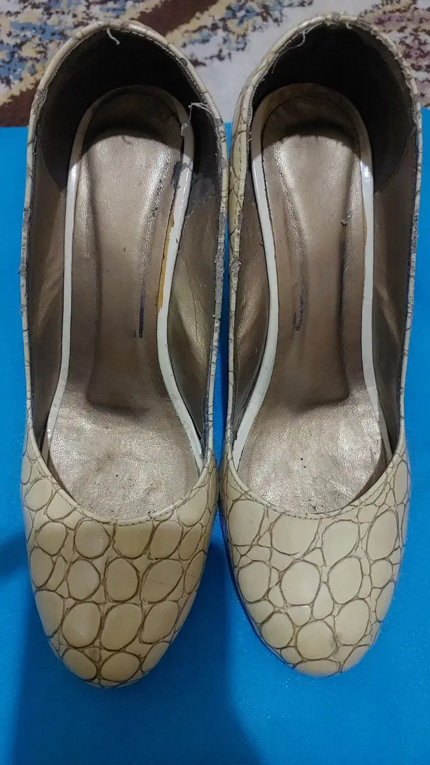 کفش مجلسی زنانه تمیز و شیک|کیف، کفش، کمربند|شیراز, سجادیه|دیوار