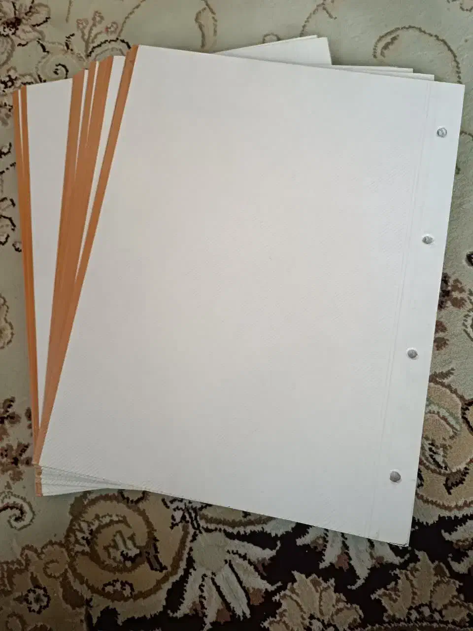 برگه آلبوم چسبی مدل کلاسوری|کلکسیون و سرگرمی|ری, علایین|دیوار