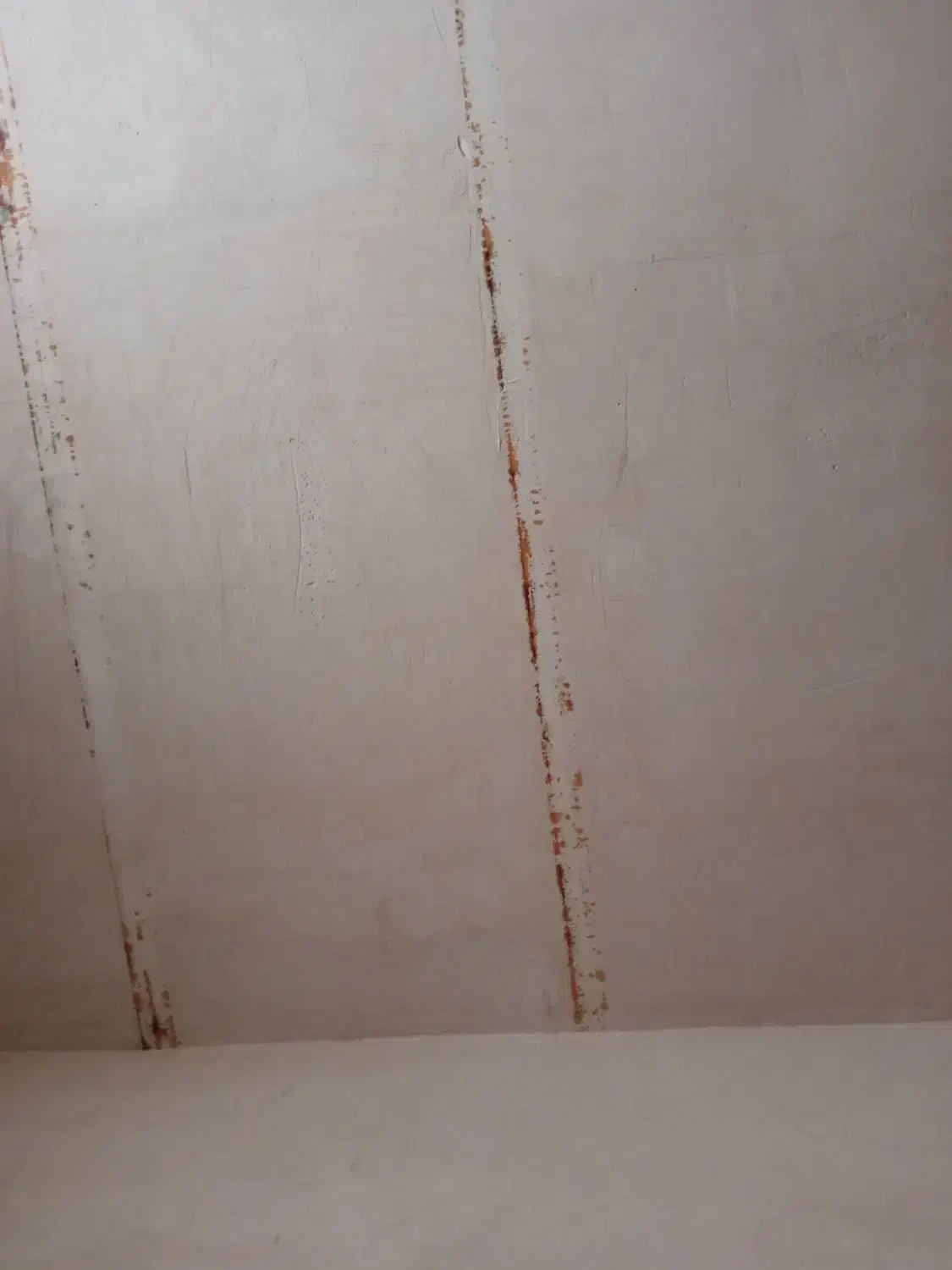 زمین در کاریزنو کلالی پایین معداباد|فروش زمین و ملک کلنگی|تربت جام, کاریز نو سفلی|دیوار