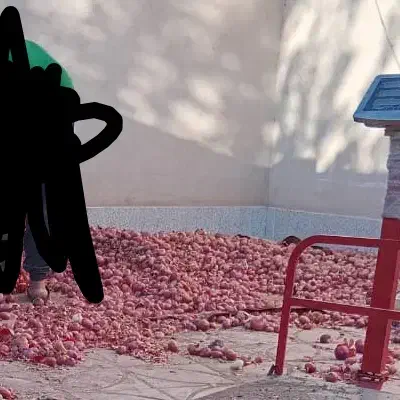 پیاز محلی|خوردنی و آشامیدنی|بردسیر, |دیوار