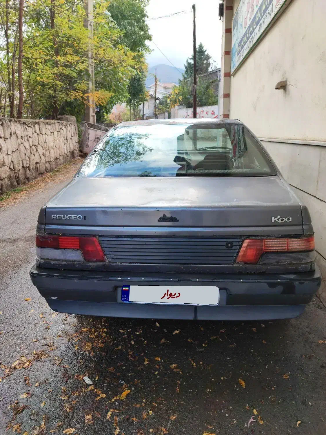 پژو روآ|خودرو سواری و وانت|کلاردشت, |دیوار