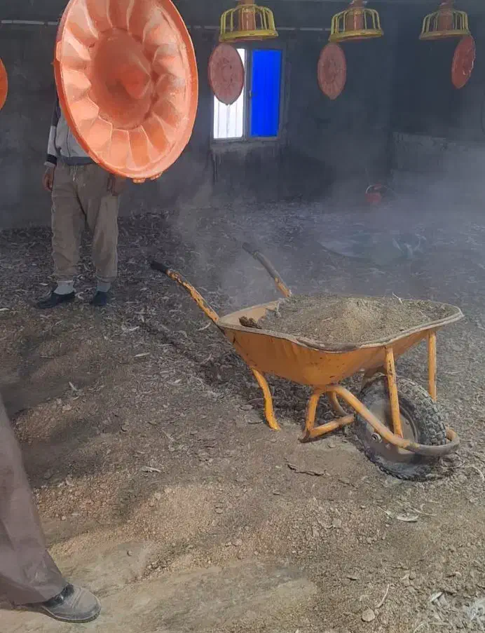 کود مرغی|خدمات باغبانی و درختکاری|رامشیر, |دیوار