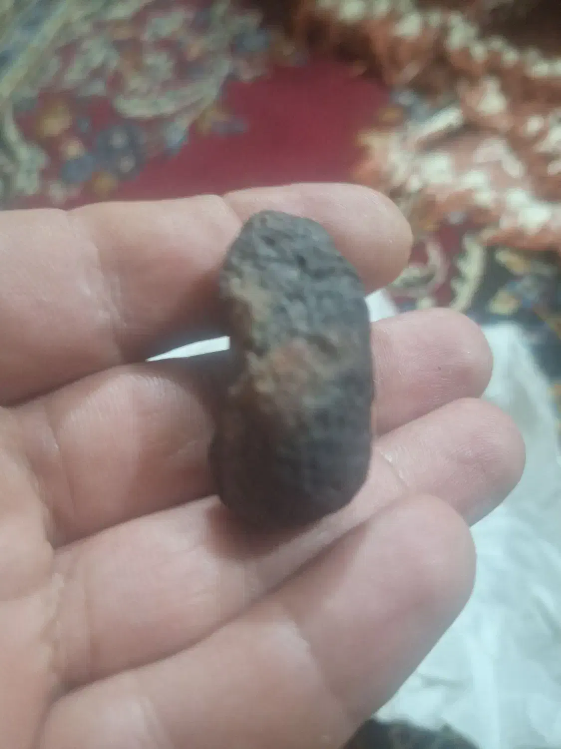 شهاب سنگ|کلکسیون اشیاء عتیقه|میناب, |دیوار