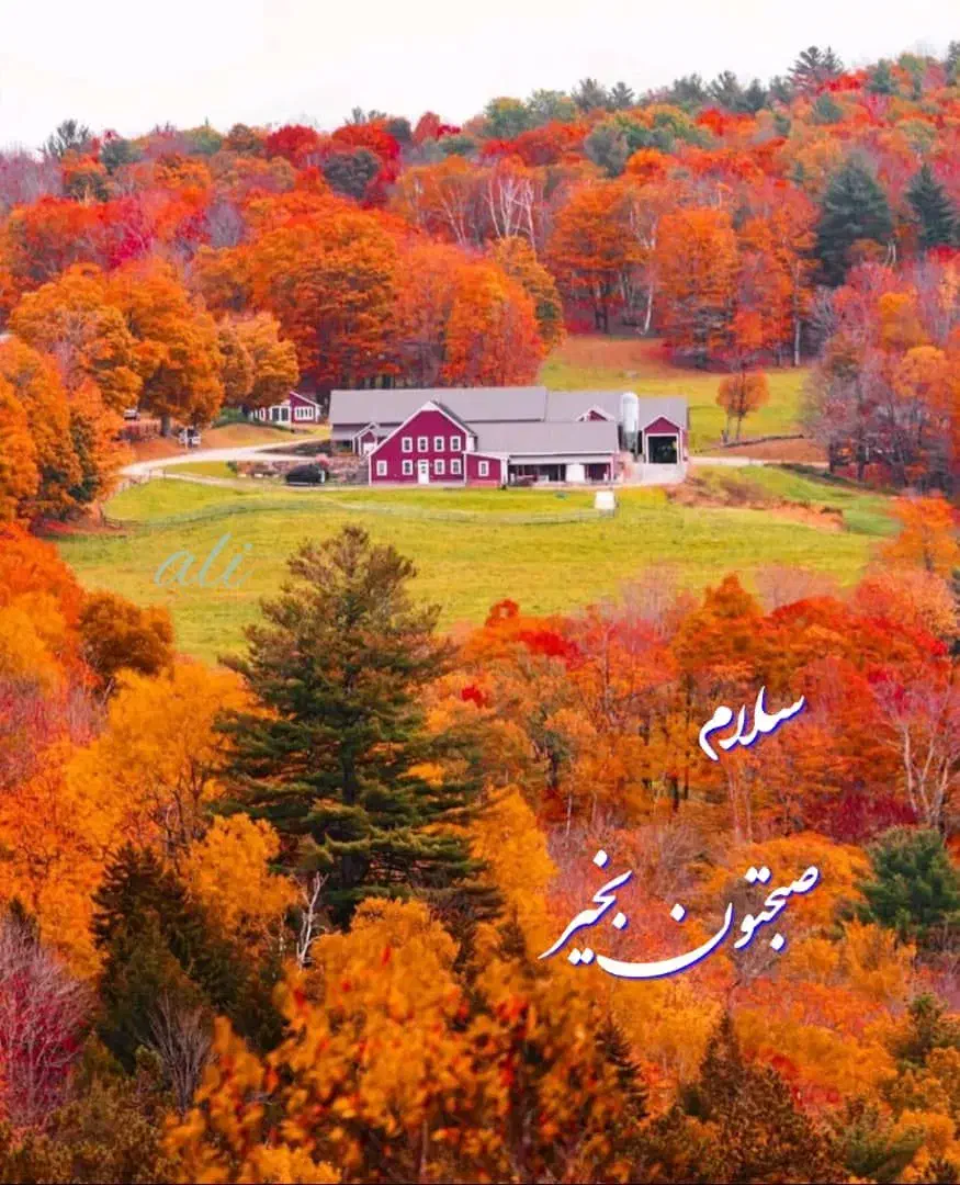 ۴۲۰متربر۱۴گذر۱۰جواز۵طبقه خ آفریقانرسیده ب آرژانتین|مشارکت در ساخت املاک|تهران, آرژانتین|دیوار