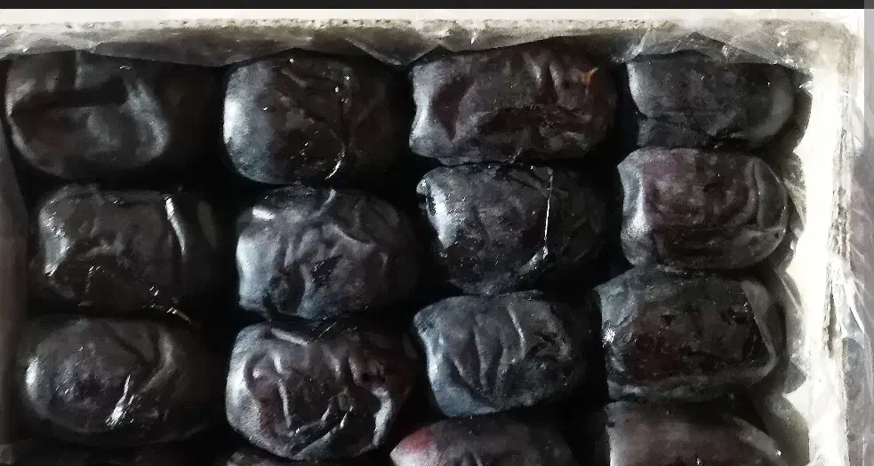 فروش خرما|حراج|بم, |دیوار