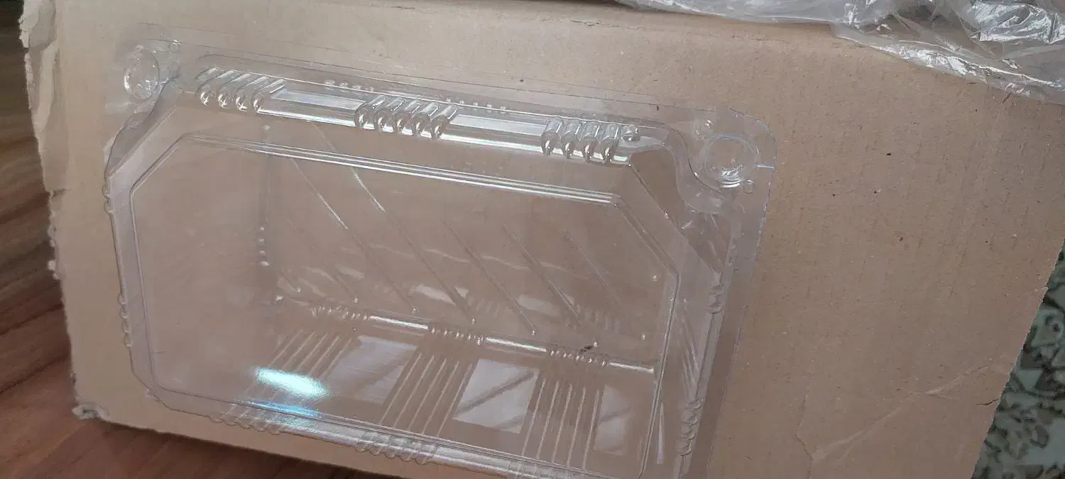 ظرف یکبار مصرف|ظروف نگهدارنده، پلاستیکی، یک‌بارمصرف|شهرکرد, |دیوار