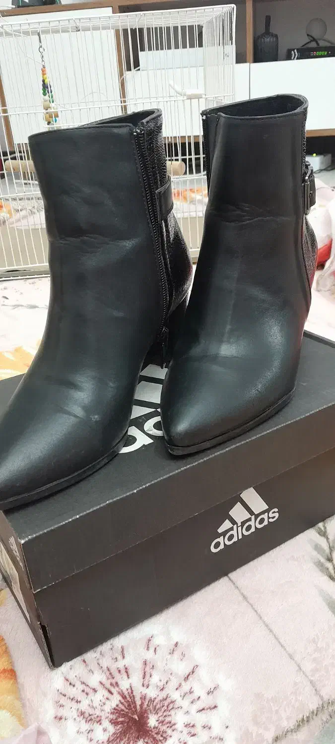 بوت|کیف، کفش، کمربند|گلبهار, شهر جدید گلبهار|دیوار