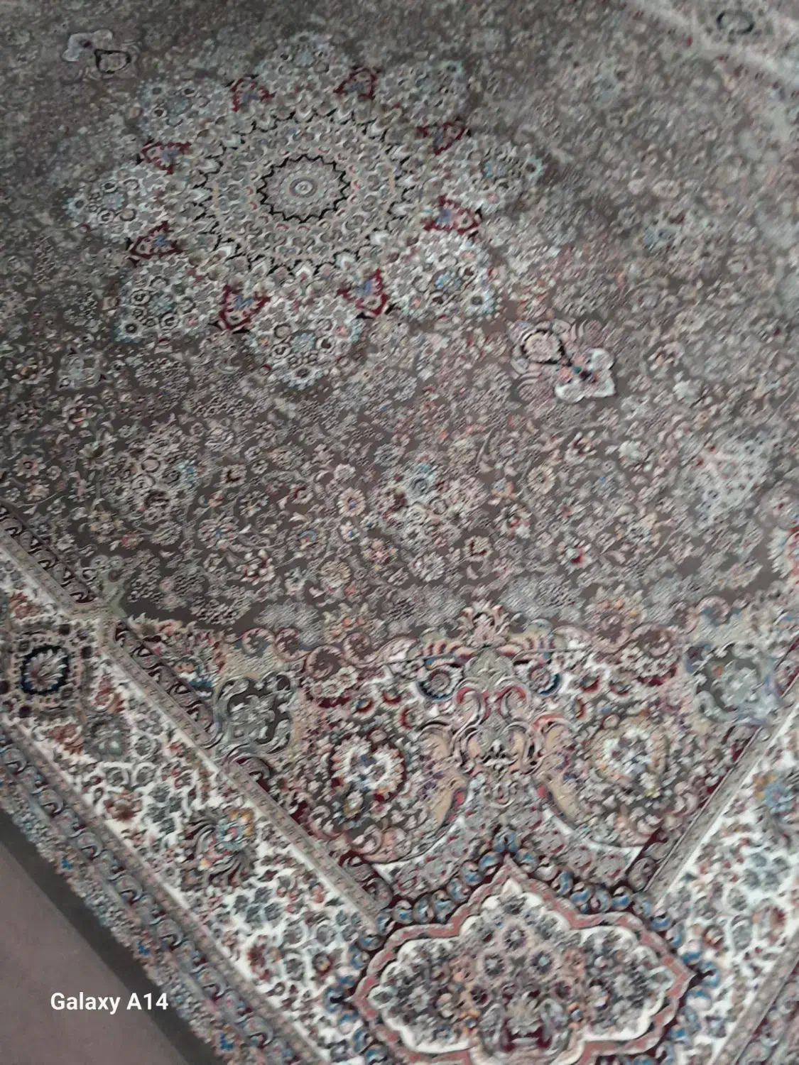 فروش فرش|فرش|قزوین, |دیوار