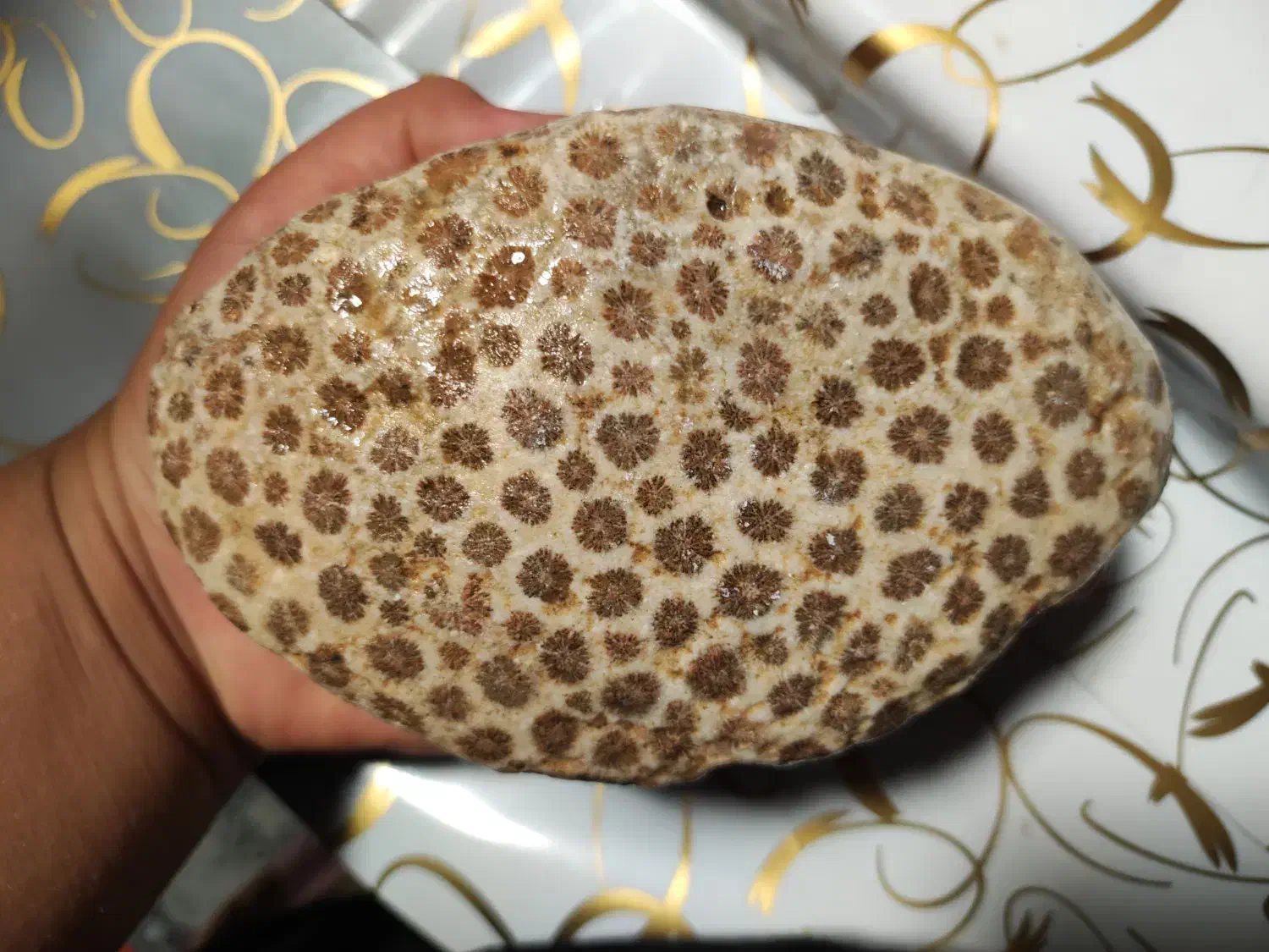 مرجان|کلکسیون اشیاء عتیقه|آبیک, |دیوار